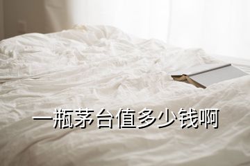 一瓶茅臺(tái)值多少錢啊
