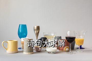 詩句大求解