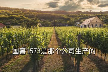 國窖1573是那個公司生產(chǎn)的