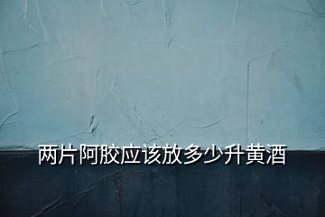 兩片阿膠應該放多少升黃酒