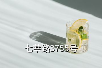 七莘路3755號