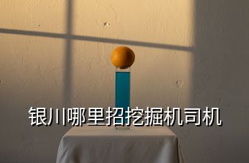 銀川哪里招挖掘機司機