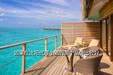 如果在沈陽(yáng)代理小酒的那個(gè)品牌比較好