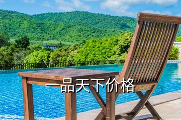 一品天下價格