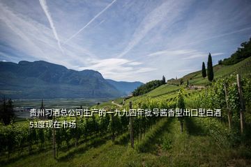 貴州習酒總公司生產(chǎn)的一九九四年批號醬香型出口型白酒53度現(xiàn)在市場