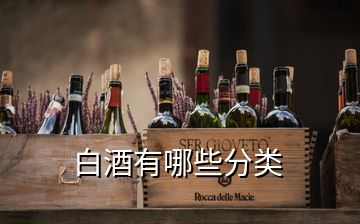 白酒有哪些分類(lèi)