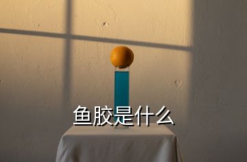 魚(yú)膠是什么