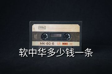 軟中華多少錢一條