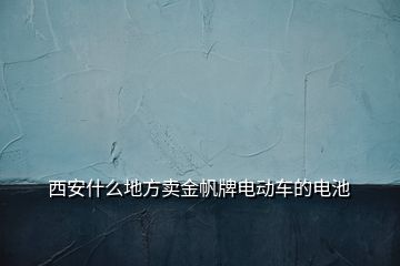 西安什么地方賣金帆牌電動(dòng)車的電池