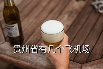 貴州省有幾個飛機(jī)場