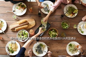 哪位知道把酒言歡42度濃香型紅色外包裝四川天府國(guó)酒業(yè)有限