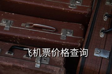 飛機(jī)票價(jià)格查詢