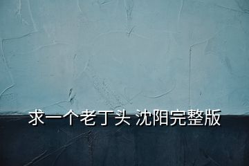 求一個老丁頭 沈陽完整版