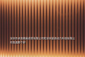 深圳市卓良精英商貿(mào)有限公司和深圳是商動(dòng)力科技有限公司我選那個(gè)好