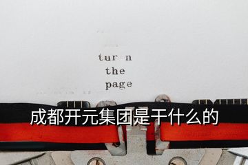 成都開元集團是干什么的