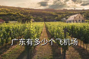 廣東有多少個(gè)飛機(jī)場