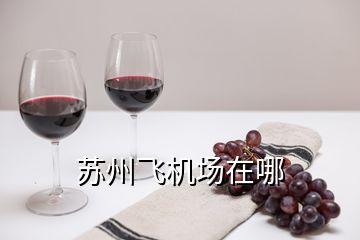 蘇州飛機場在哪