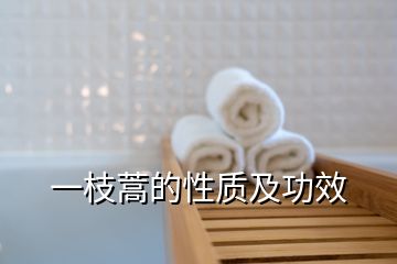 一枝蒿的性質(zhì)及功效