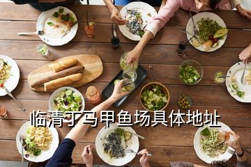 臨清丁馬甲魚場具體地址