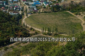 百威啤酒促銷員2015工作計劃怎么寫