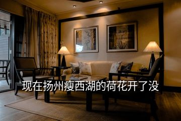 現(xiàn)在揚(yáng)州瘦西湖的荷花開(kāi)了沒(méi)