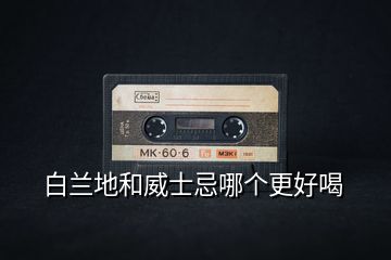 白蘭地和威士忌哪個(gè)更好喝