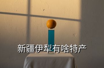 新疆伊犁有啥特產