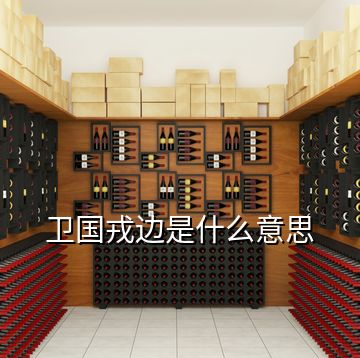 衛(wèi)國戎邊是什么意思