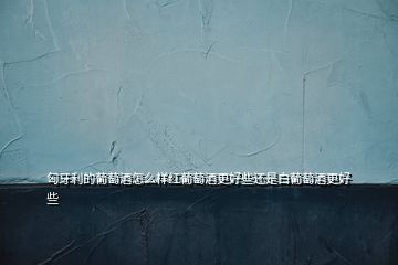 匈牙利的葡萄酒怎么樣紅葡萄酒更好些還是白葡萄酒更好些