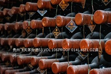貴州飛天茅臺(tái)酒53 VOL 106PROOF 014L 46FL OZ請(qǐng)問