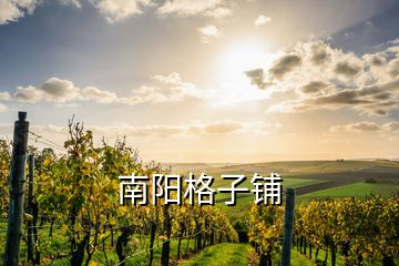 南陽(yáng)格子鋪