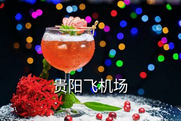 貴陽飛機(jī)場(chǎng)