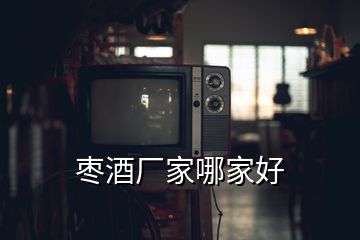 棗酒廠(chǎng)家哪家好