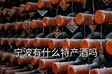 寧波有什么特產酒嗎