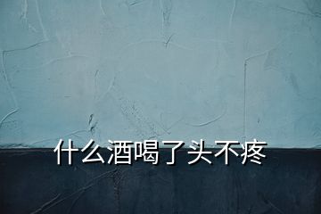 什么酒喝了頭不疼