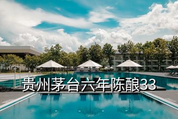 貴州茅臺(tái)六年陳釀33