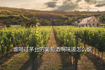 誰(shuí)喝過(guò)茅臺(tái)的葡萄酒啊味道怎么說(shuō)