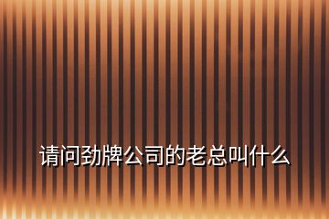 請(qǐng)問勁牌公司的老總叫什么