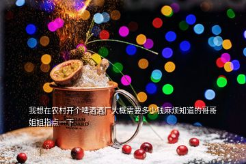 我想在農村開個啤酒酒廠大概需要多少錢麻煩知道的哥哥姐姐指點一下
