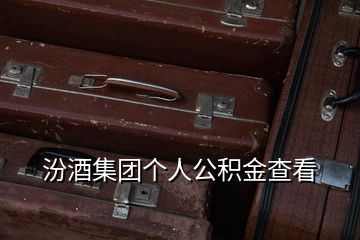 汾酒集團個人公積金查看