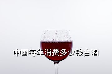 中國每年消費(fèi)多少錢白酒