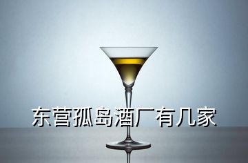 東營(yíng)孤島酒廠有幾家