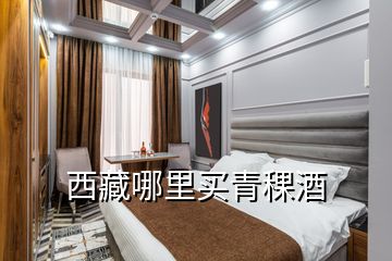 西藏哪里買青稞酒