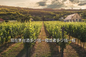 現(xiàn)在茅臺酒多少錢一箱或者多少錢一瓶