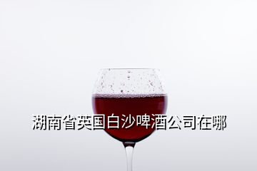 湖南省英國(guó)白沙啤酒公司在哪