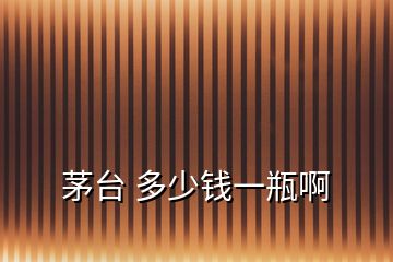 茅臺 多少錢一瓶啊