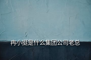 冉小挺是什么集團公司老總