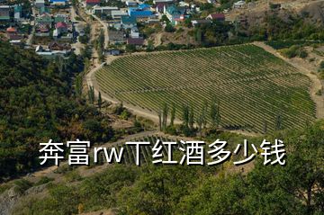 奔富rw丅紅酒多少錢(qián)