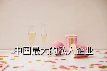中國最大的私人企業(yè)