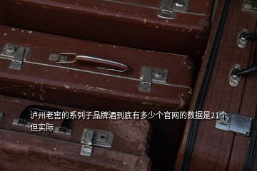 瀘州老窖的系列子品牌酒到底有多少個(gè)官網(wǎng)的數(shù)據(jù)是21個(gè)但實(shí)際